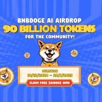 BNBDOGE